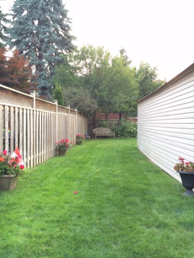 24 Beaufield Avenue - Backyard