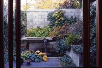 Brigitte Shim: Shim-Sutcliffe Architects Laneway House - Outdoor Garden